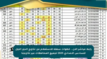 رابط مباشر الآن.. خطوات سهلة للاستعلام عن نتائج الدور الأول للسادس الإعدادي 2025 لجميع المحافظات عبر نتائجنا